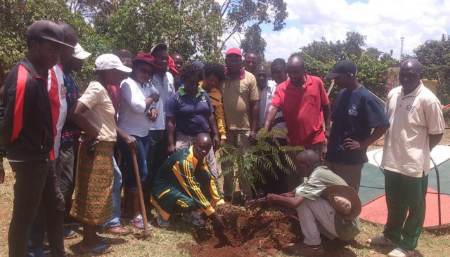 National planting day