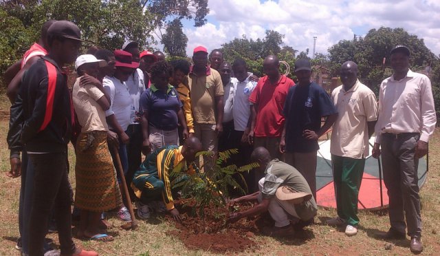 National planting day