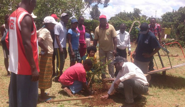 National planting day