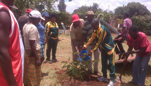 National planting day